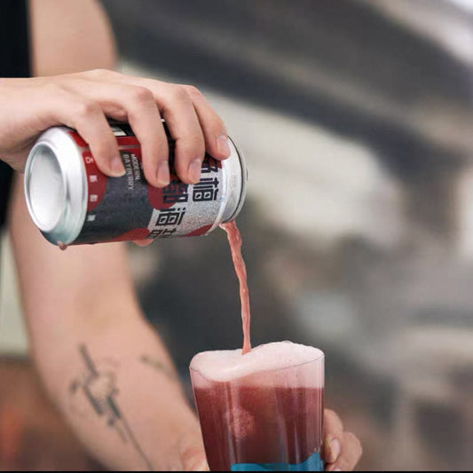 NBEER Beijing Gose Modern Bayberry