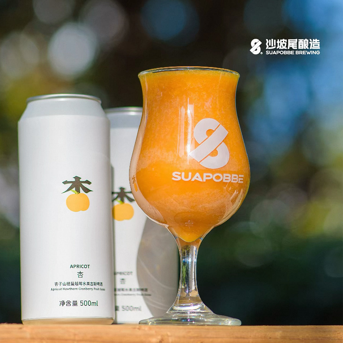 Suapobbe Apricot Hawthorn & Cranberry Gose Sour Beer